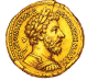 Seven Seas Auction logo