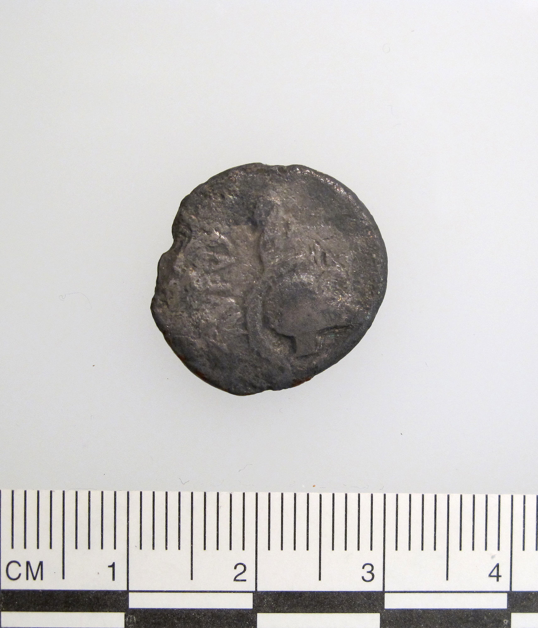 Julius Caesar Portrait Denarius